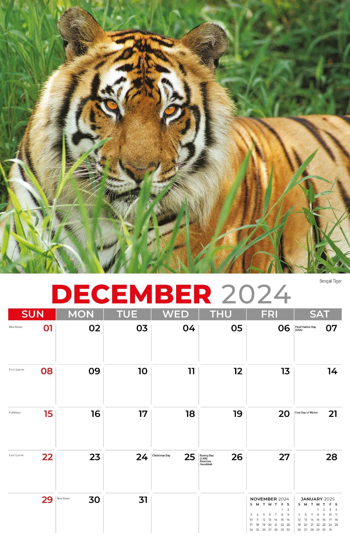 Galleria Wall Calendar 2025 International Wildlife