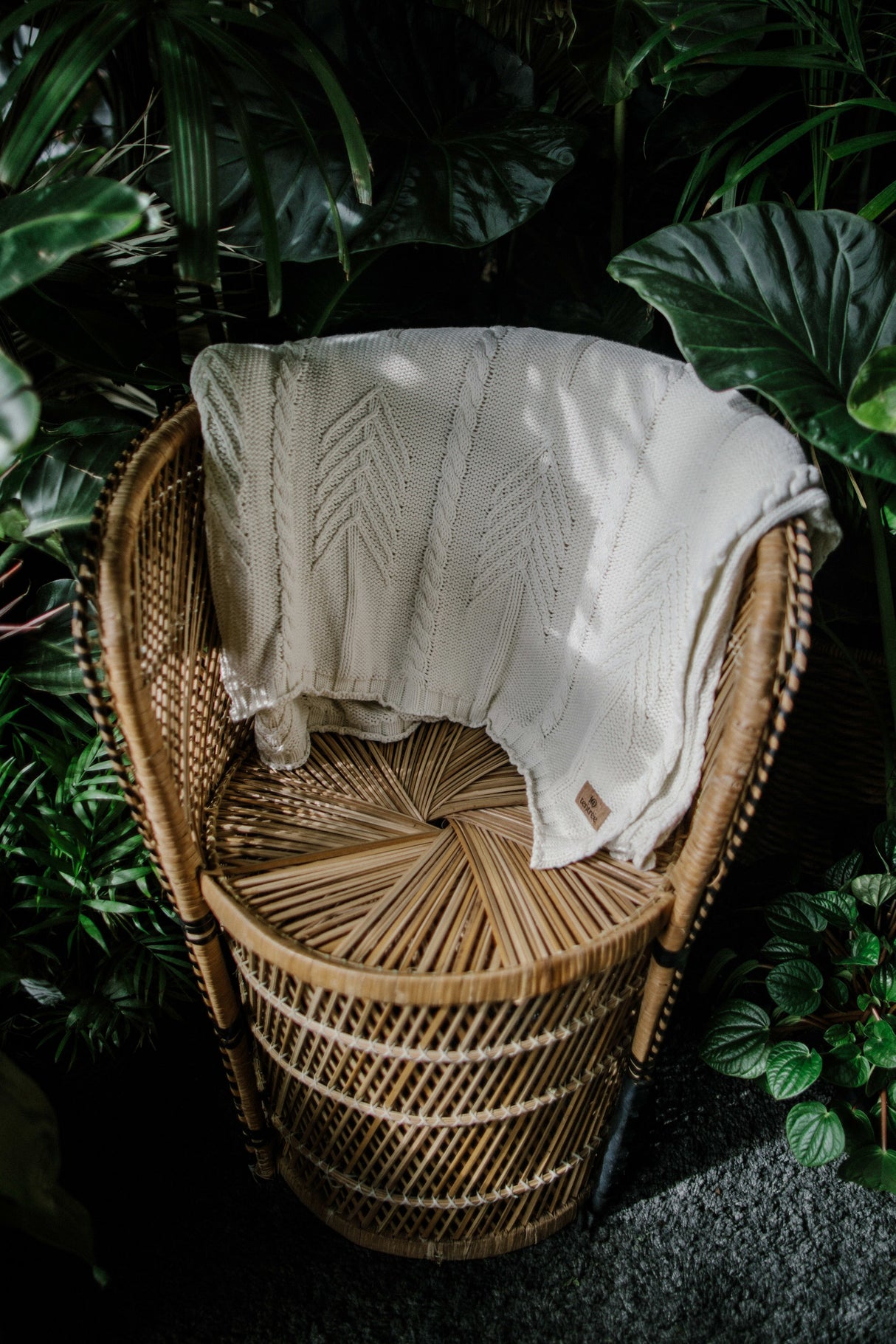 tentree Organic Cotton Cable Blanket