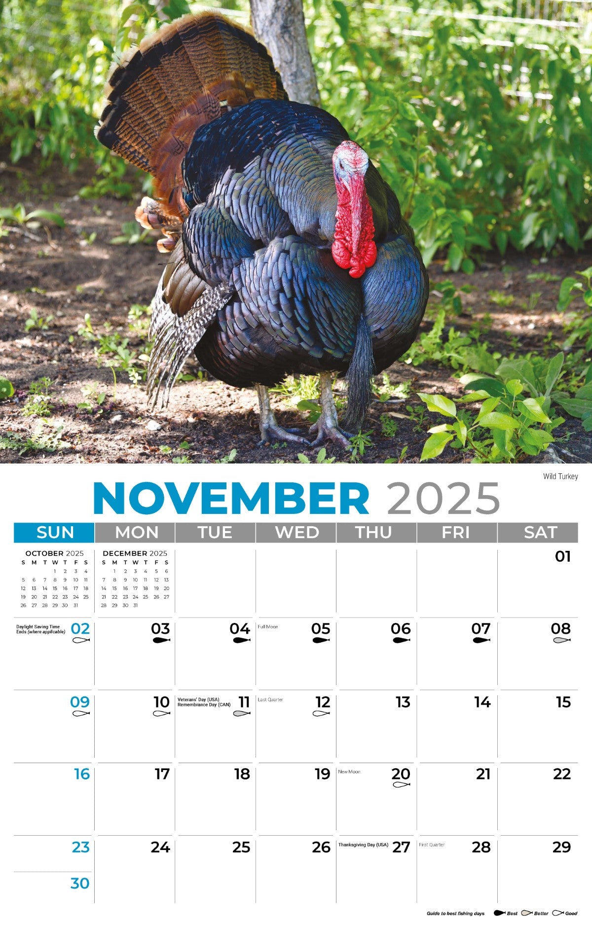 Galleria Wall Calendar 2025 North American Wildlife