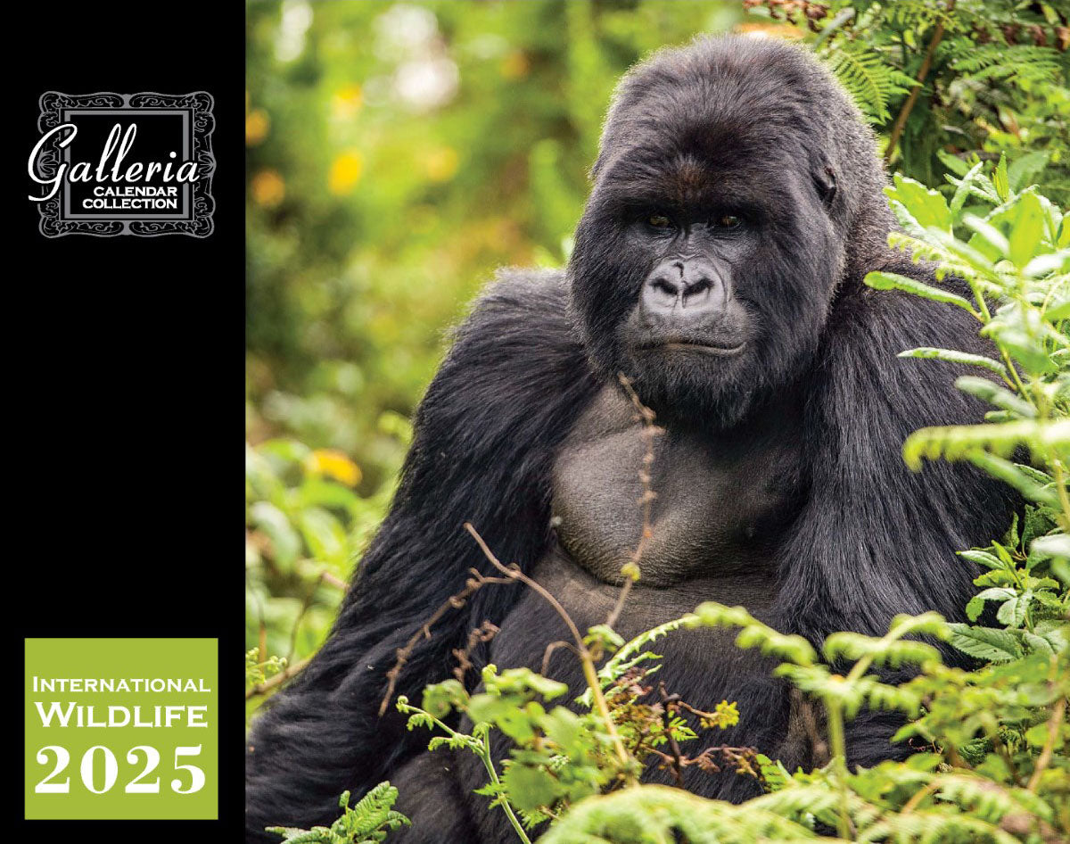 Galleria Wall Calendar 2025 International Wildlife