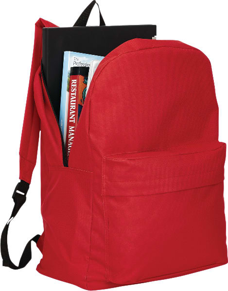 Buddy Budget 15" Computer Backpack