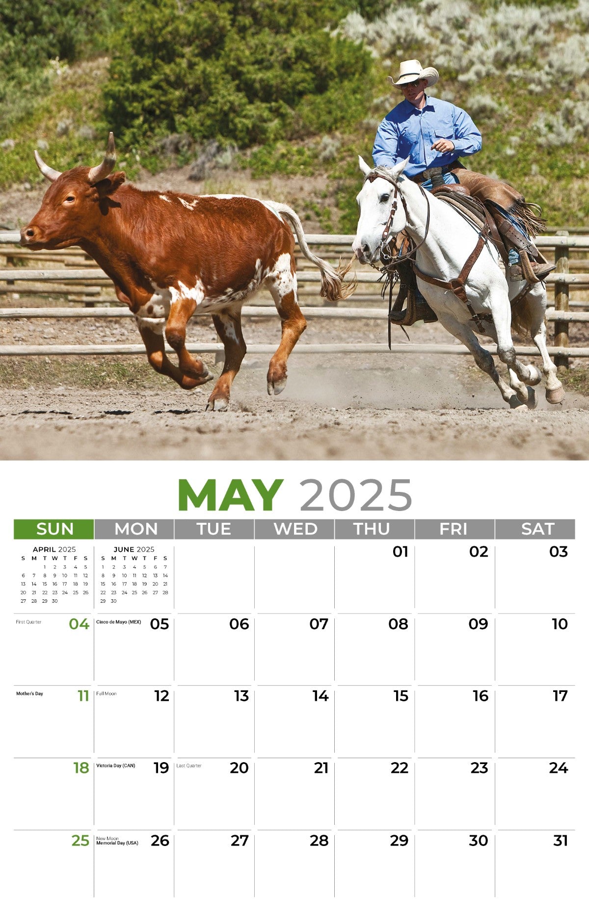 Galleria Wall Calendar 2025 Country Spirit
