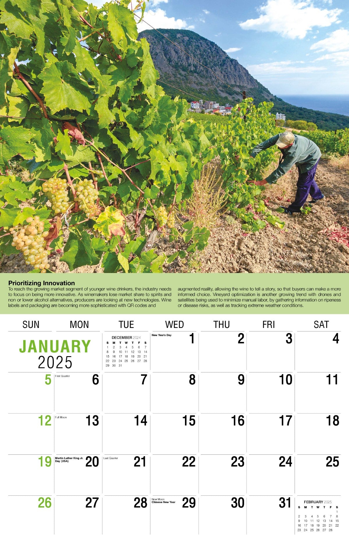 Galleria Wall Calendar 2025 Vintages