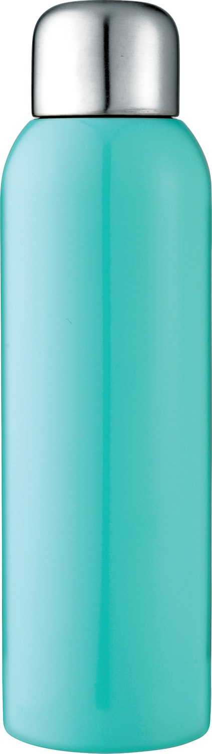 Guzzle 28oz Stainless Sports Bottle