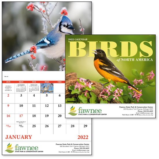 Good Value® Birds of North America Stapled Calendar