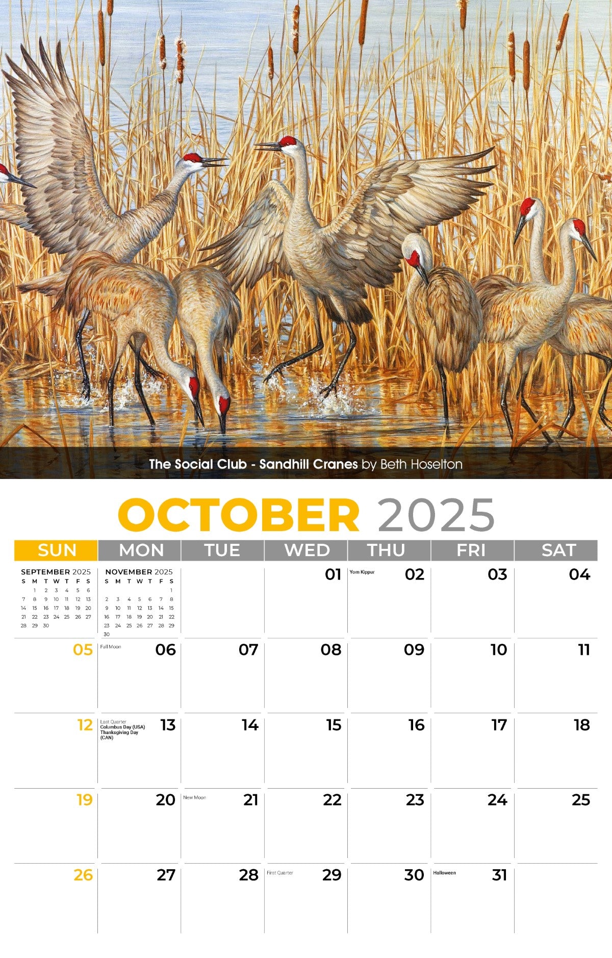 Galleria Wall Calendar 2025 Wildlife Portraits