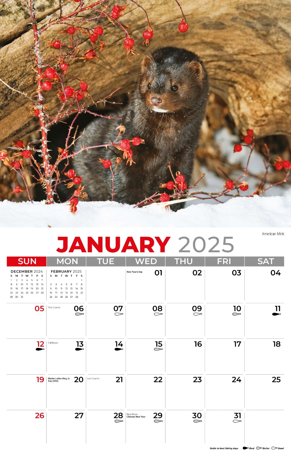 Galleria Wall Calendar 2025 North American Wildlife