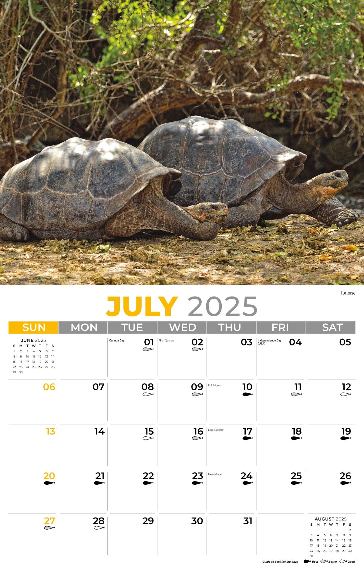 Galleria Wall Calendar 2025 North American Wildlife