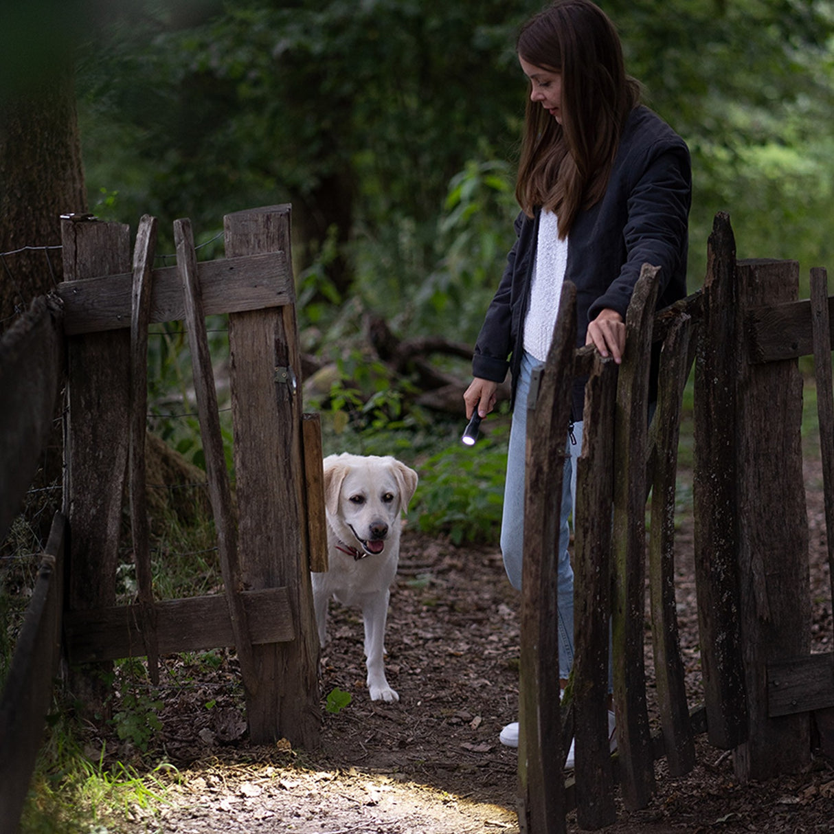 Ledlenser® P5R CORE FLASHLIGHT