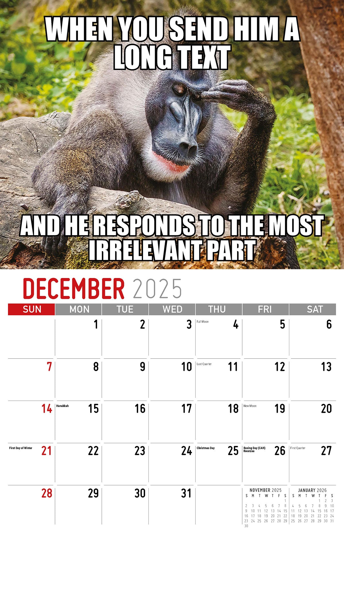 Galleria Wall Calendar 2025 The Memeing Of Life