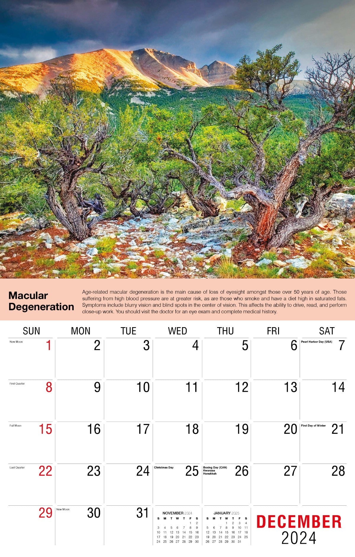 Galleria Wall Calendar 2025 Health Tips