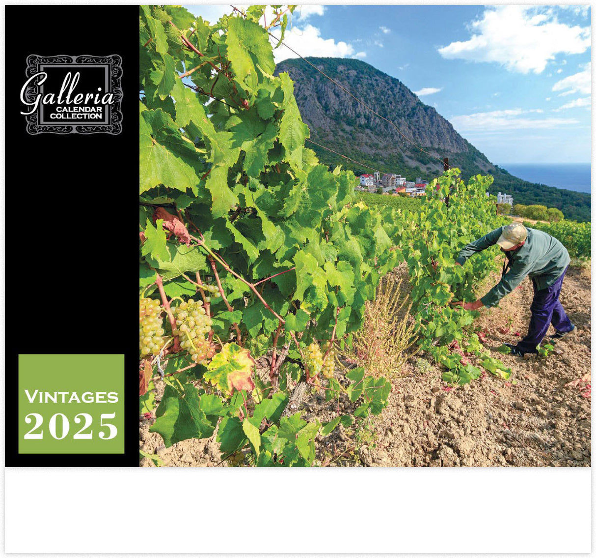 Galleria Wall Calendar 2025 Vintages