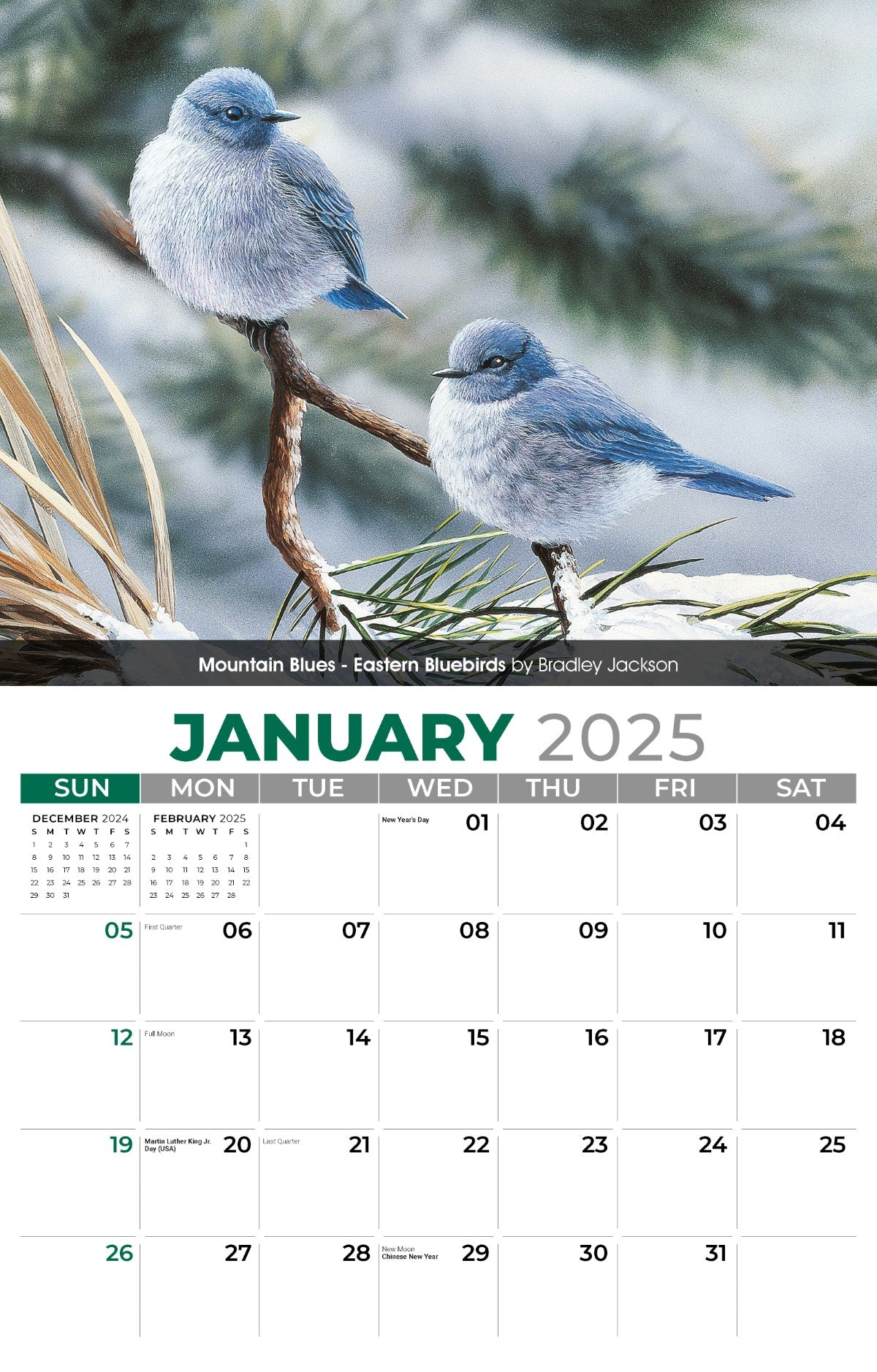 Galleria Wall Calendar 2025 Garden Birds