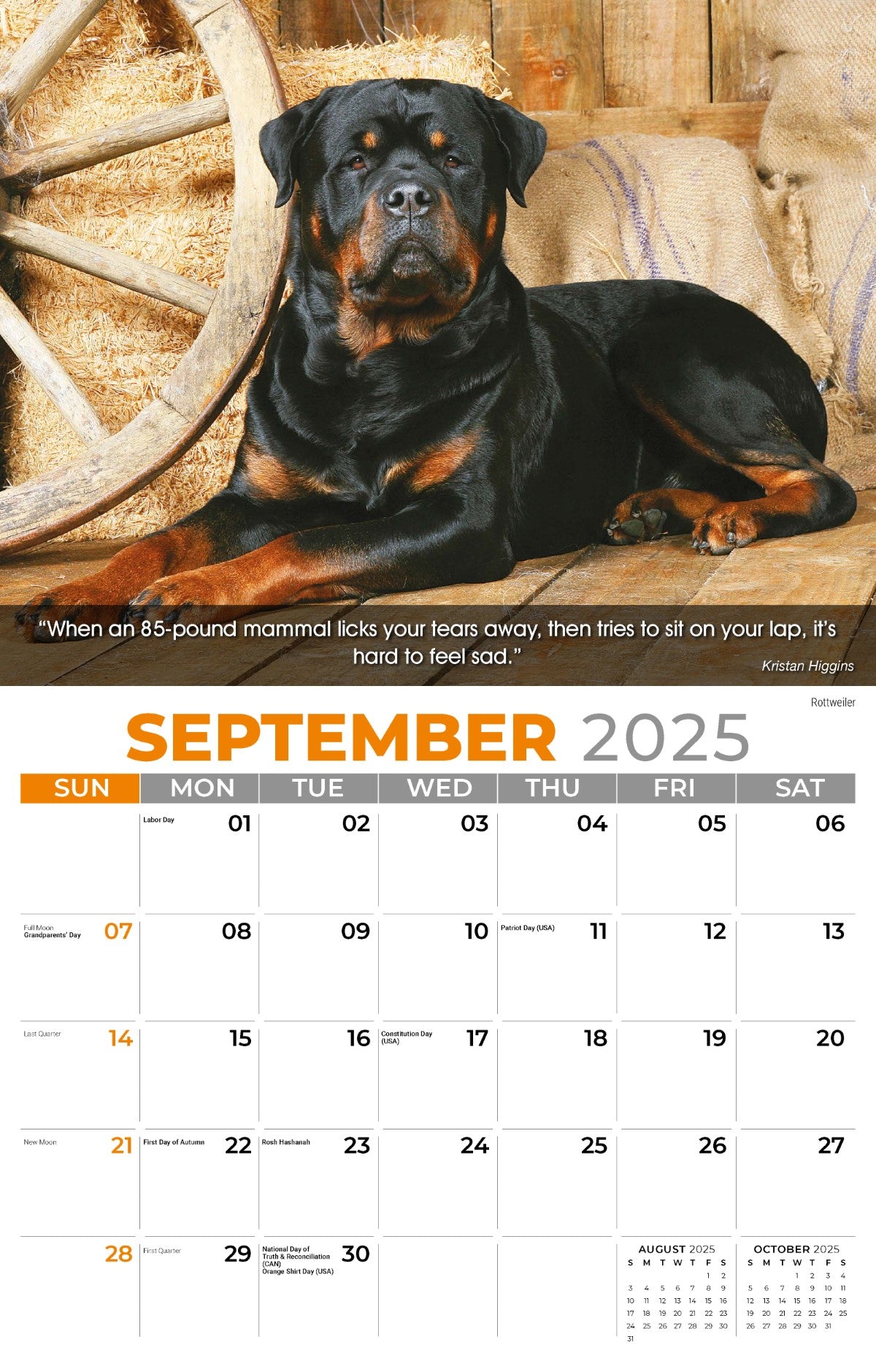 Galleria Wall Calendar 2025 Dogs Calendar