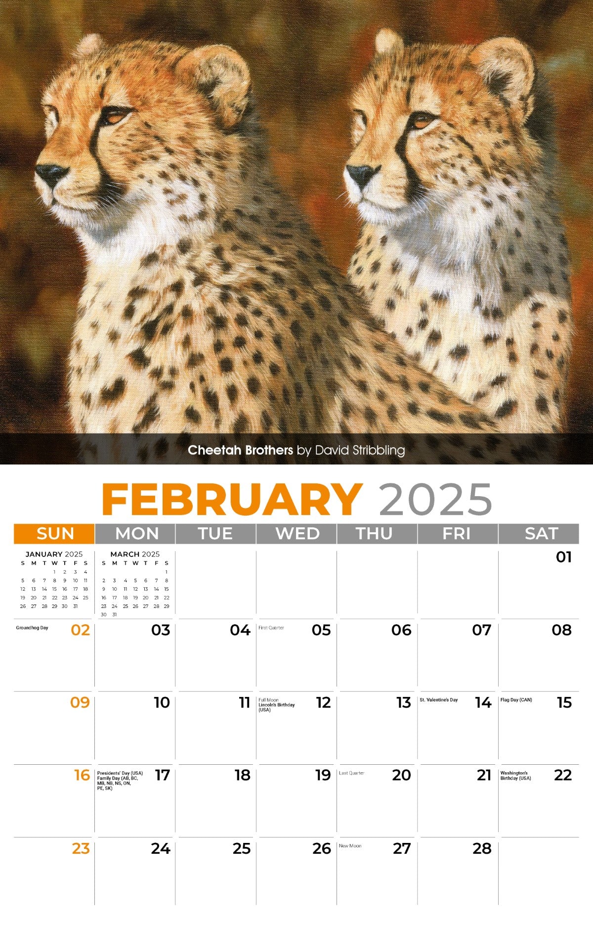 Galleria Wall Calendar 2025 Wildlife Portraits