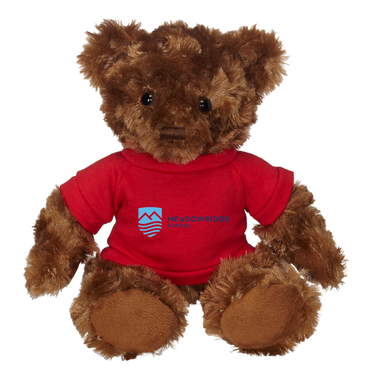11" Fergus Bear w/T-Shirt