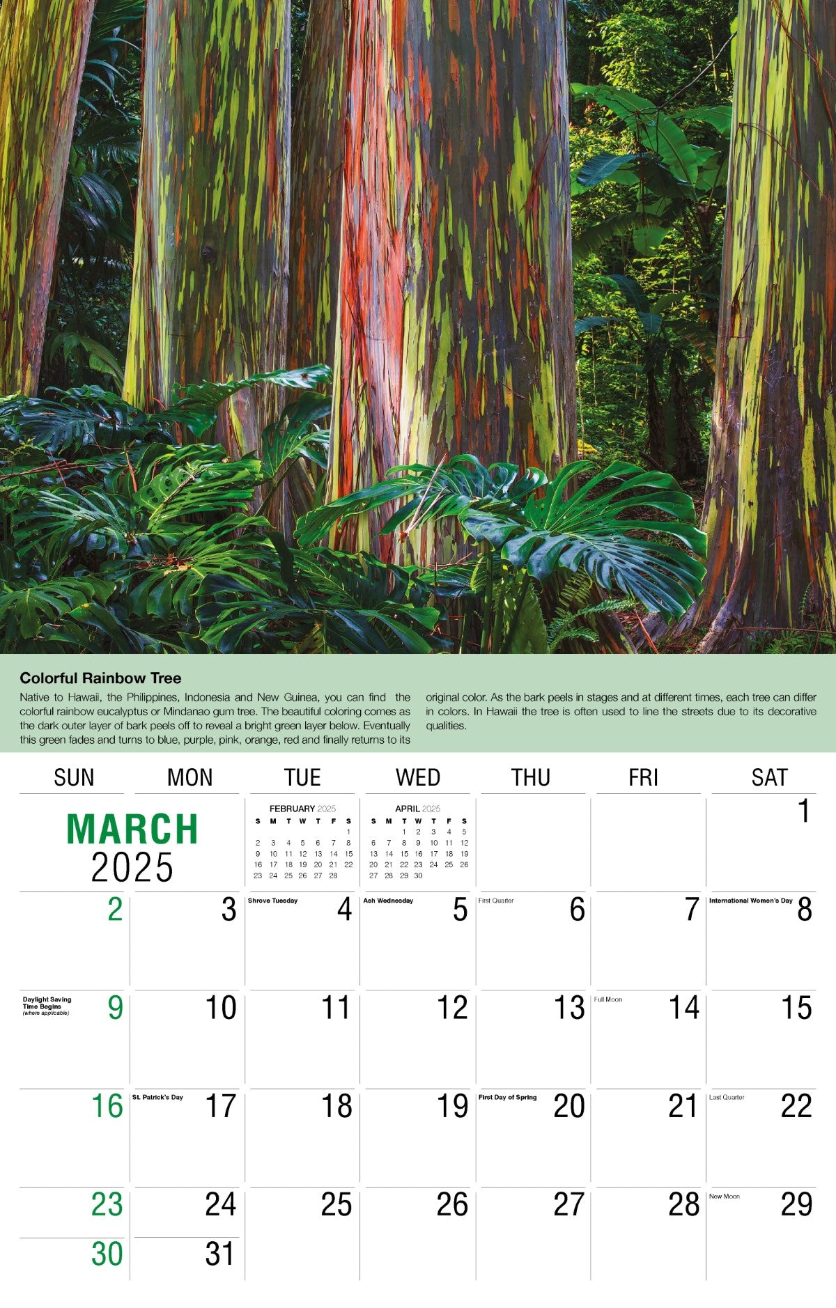 Galleria Wall Calendar 2025 Planet Earth Calendar
