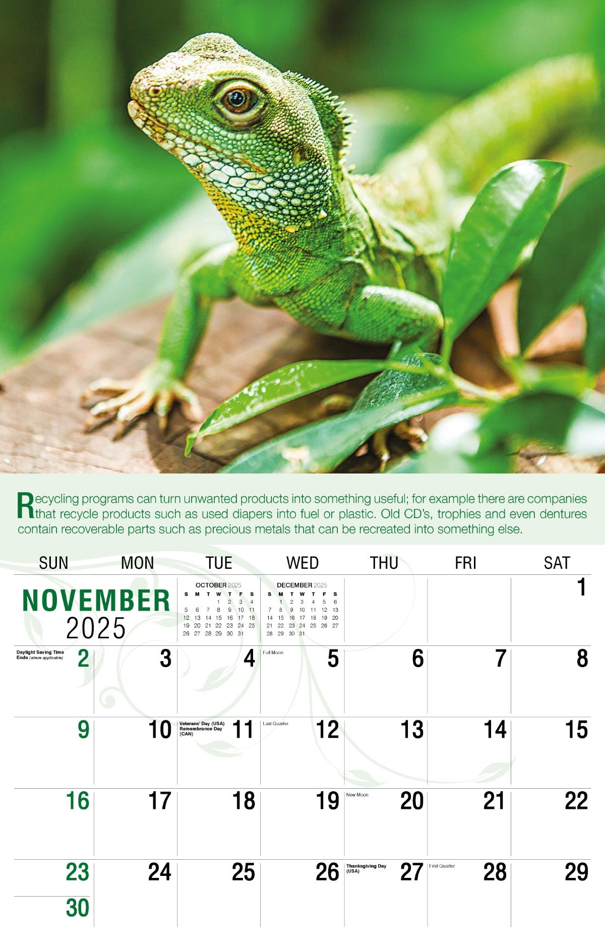 Galleria Wall Calendar 2025 Go Green Calendar