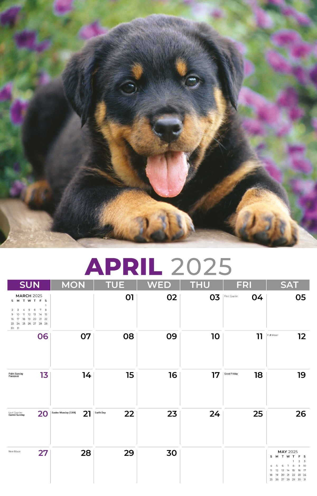 Galleria Wall Calendar 2025 Pets