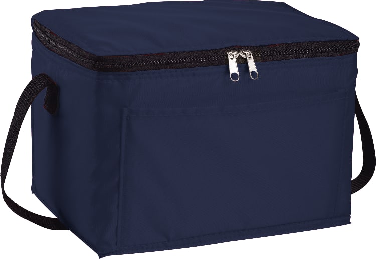 Spectrum Budget 6-Can Lunch Cooler