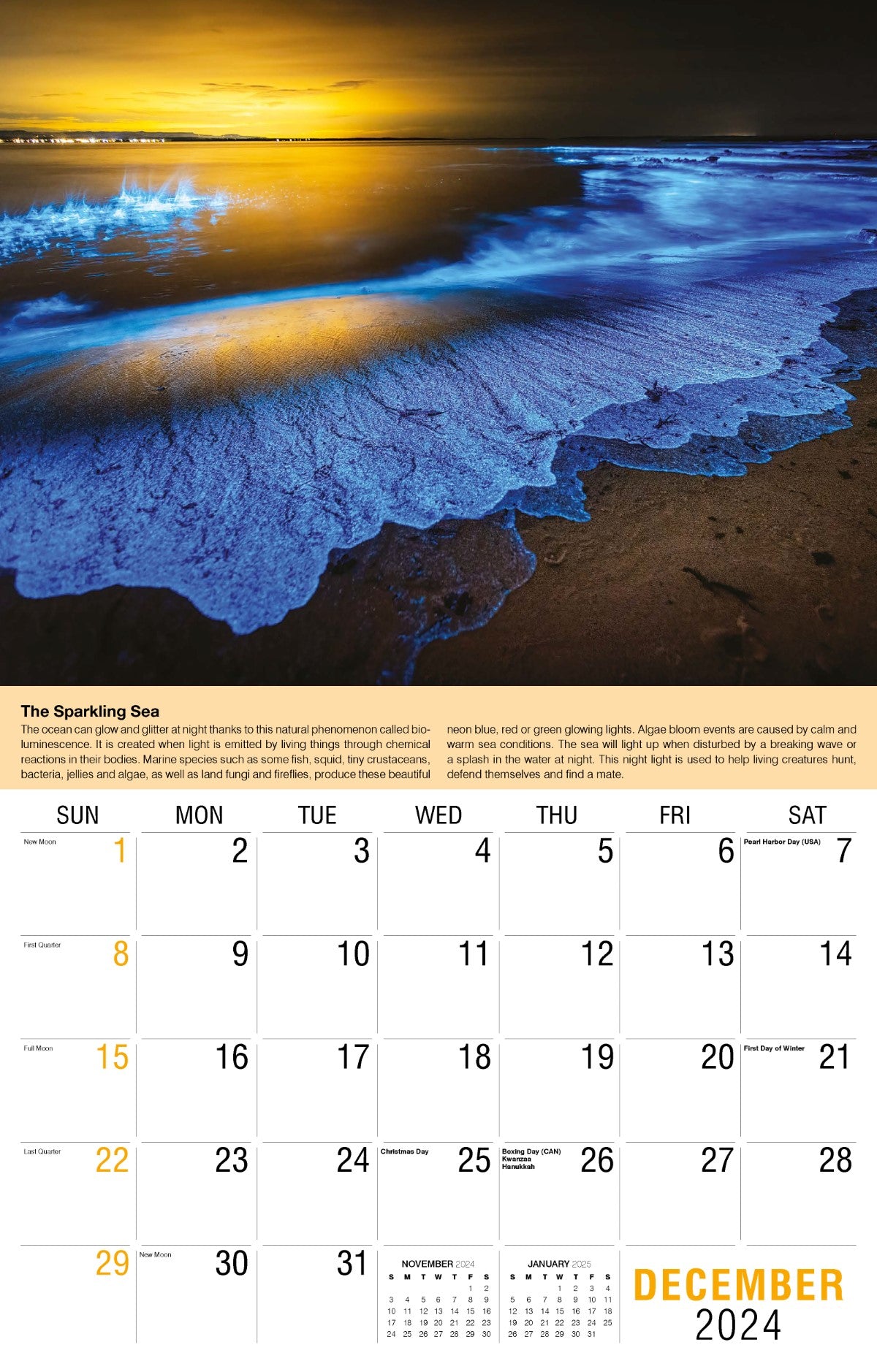 Galleria Wall Calendar 2025 Planet Earth Calendar