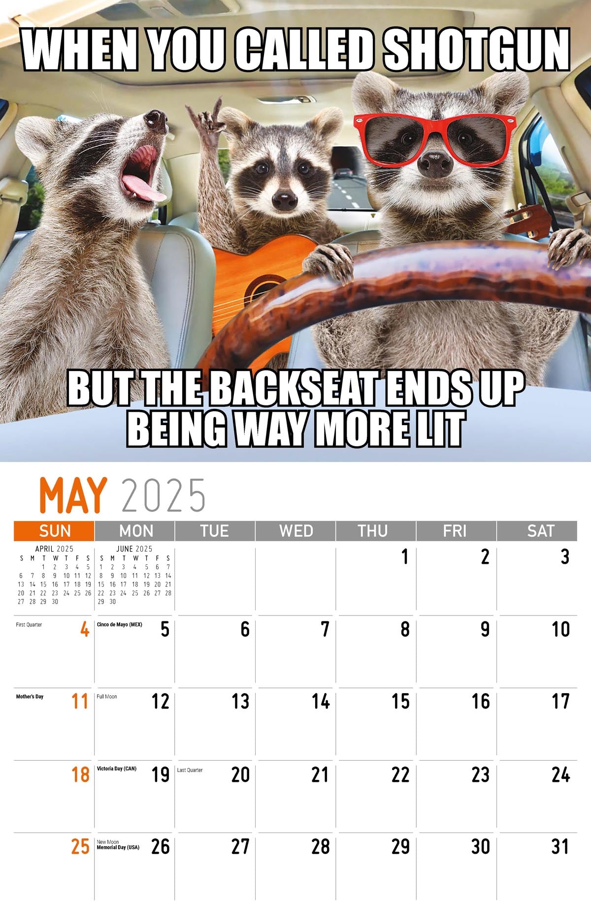 Galleria Wall Calendar 2025 The Memeing Of Life