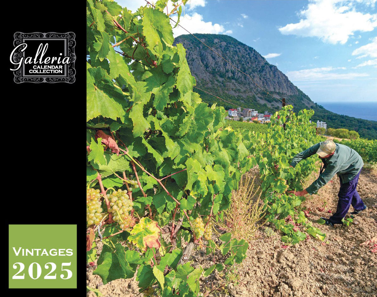 Galleria Wall Calendar 2025 Vintages