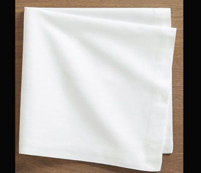 Table Napkin - 21x21