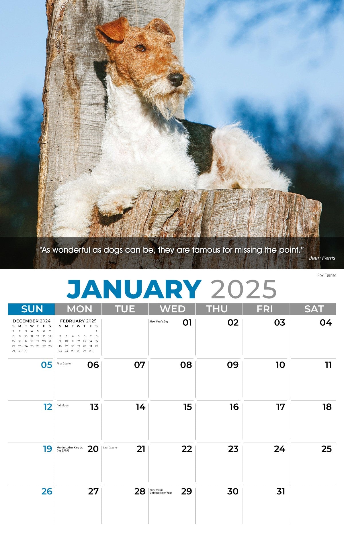 Galleria Wall Calendar 2025 Dogs Calendar