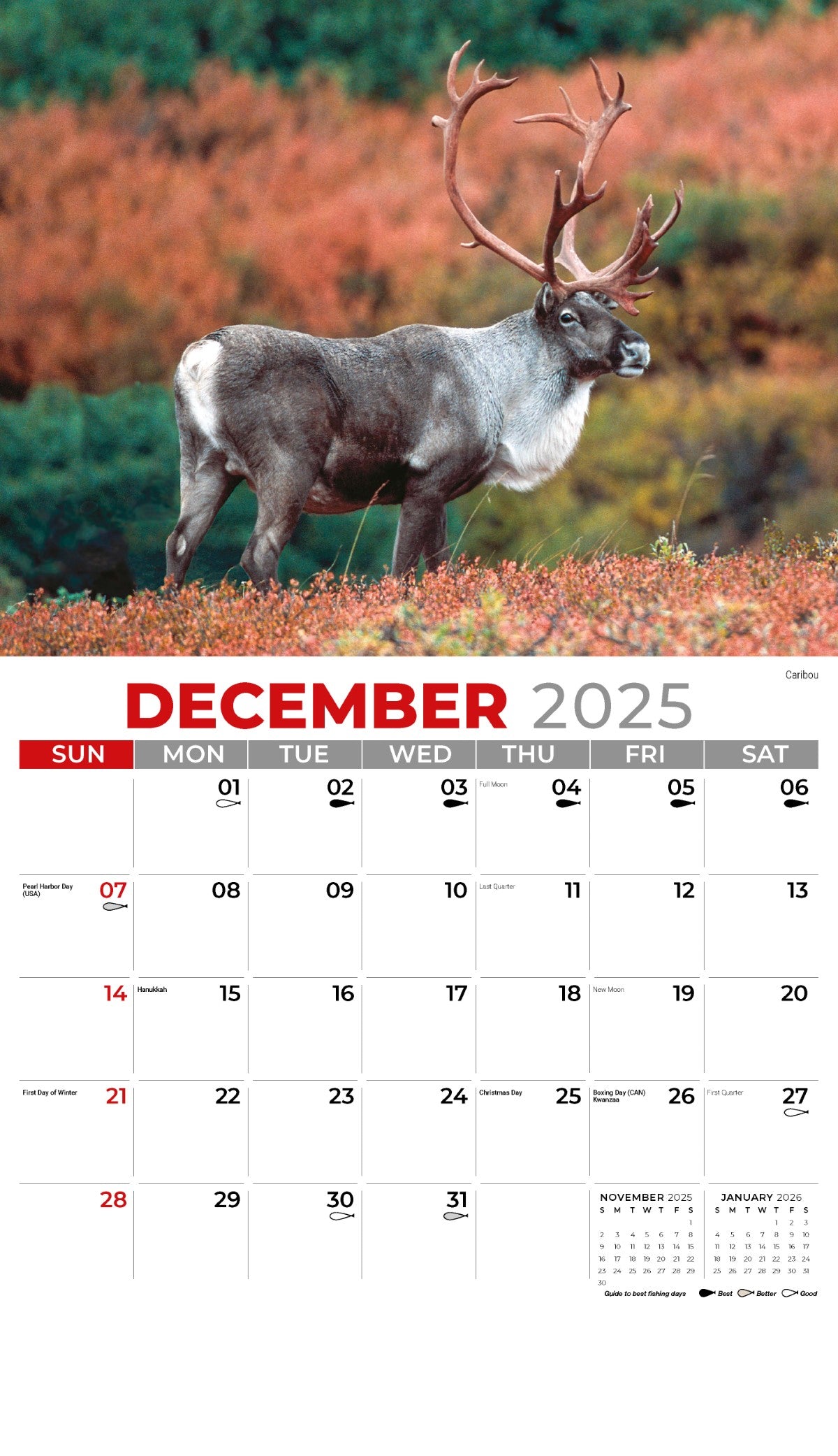 Galleria Wall Calendar 2025 North American Wildlife