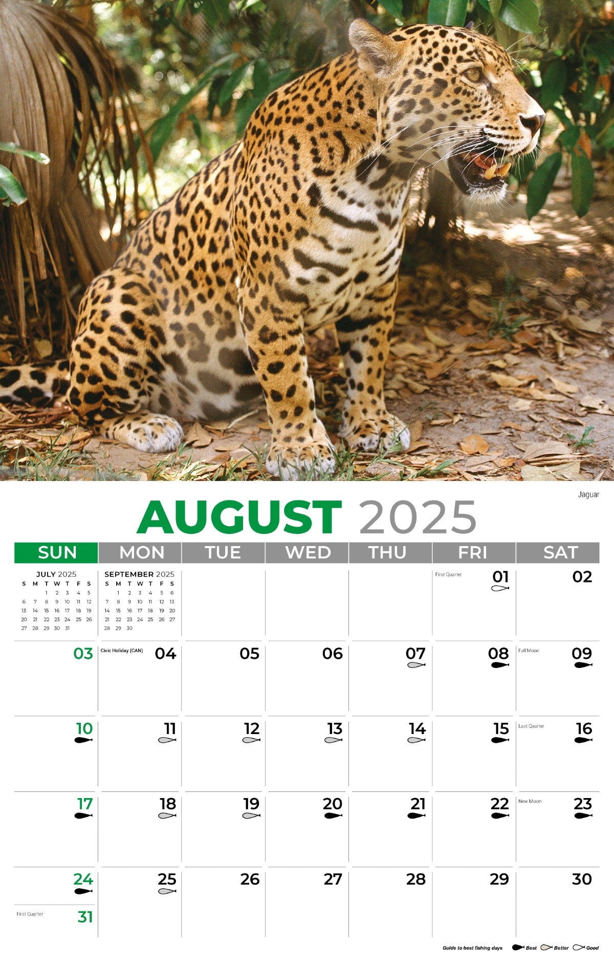 Galleria Wall Calendar 2025 North American Wildlife