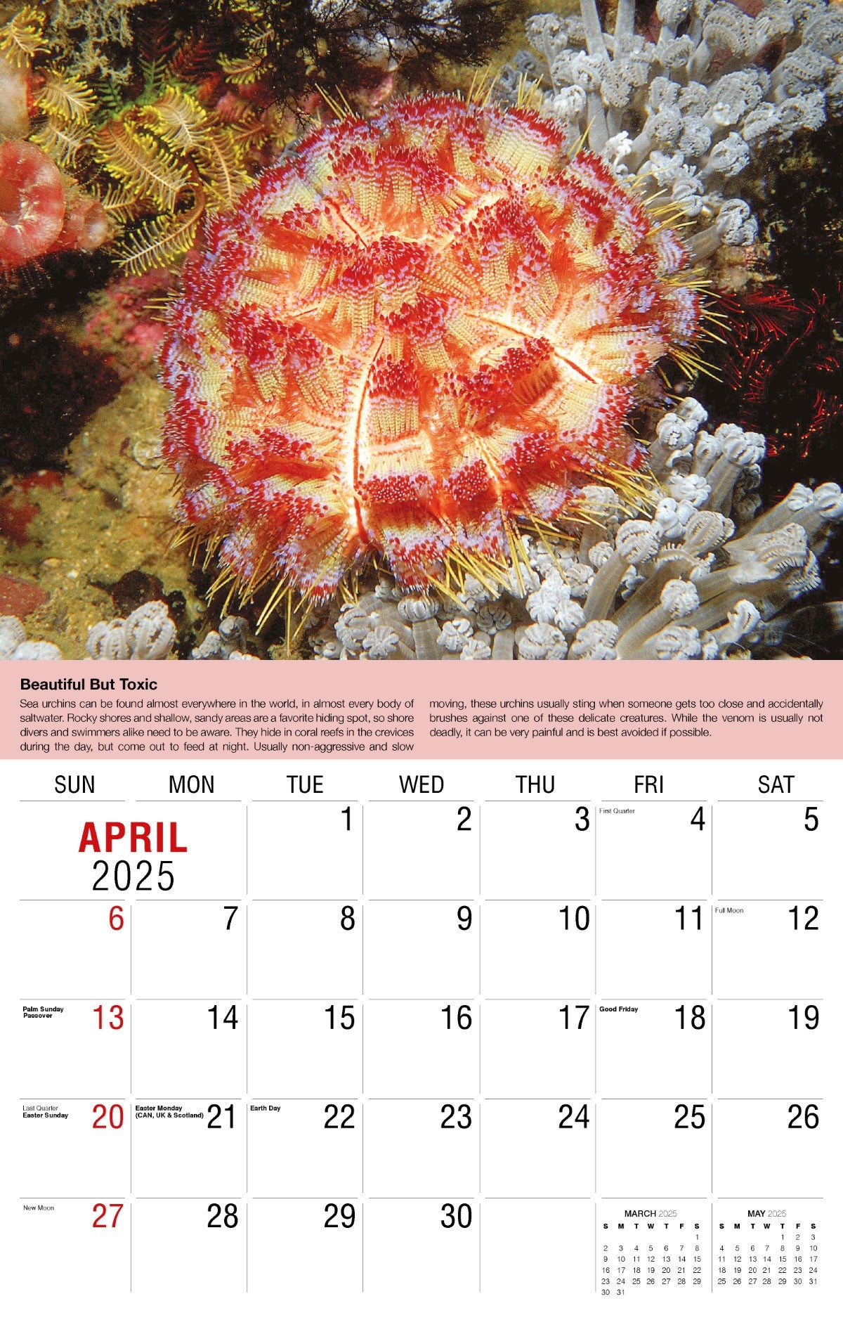 Galleria Wall Calendar 2025 Planet Earth Calendar