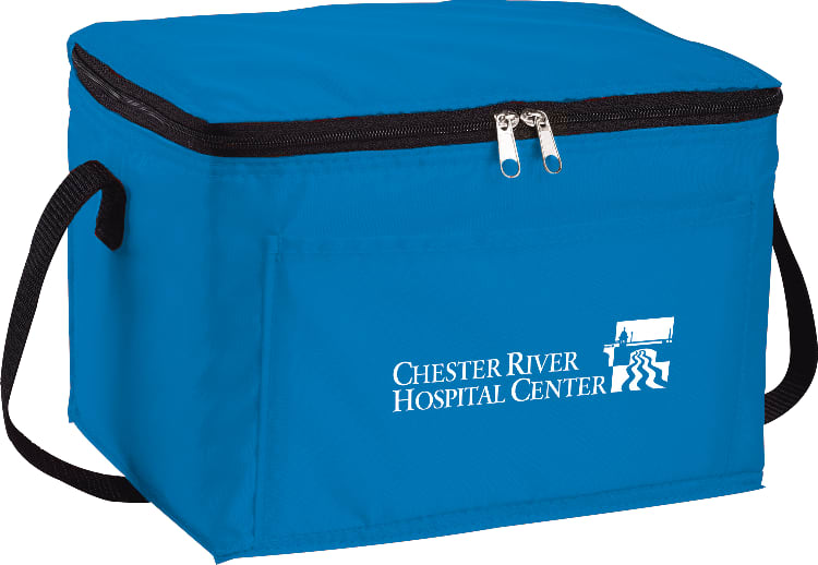 Spectrum Budget 6-Can Lunch Cooler