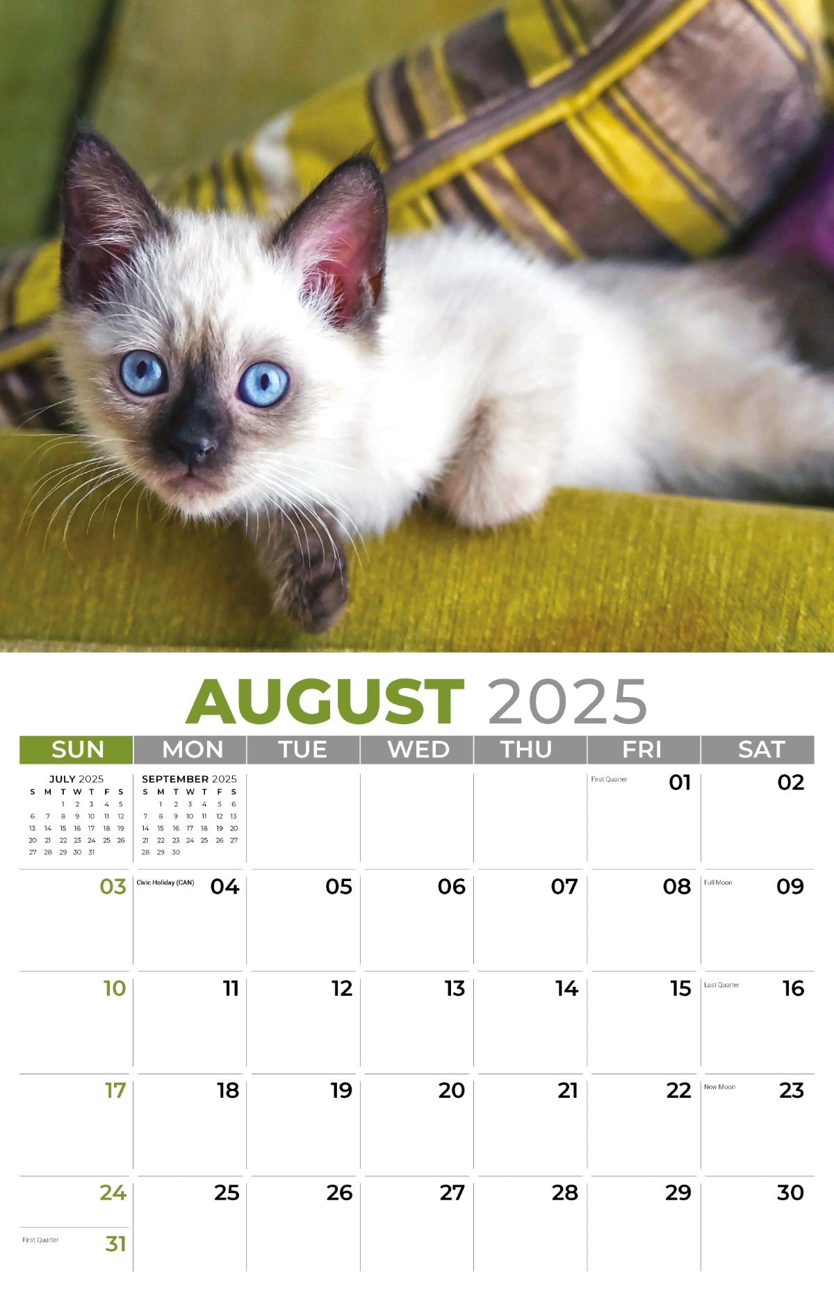 Galleria Wall Calendar 2025 Kittens Calendar