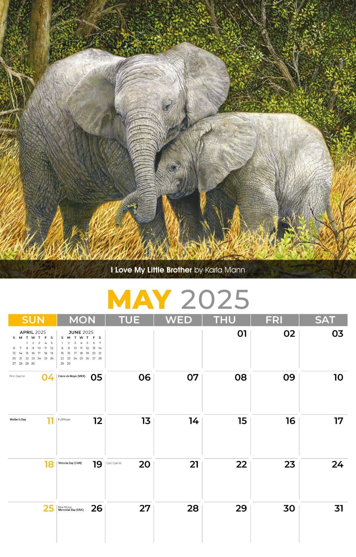 Galleria Wall Calendar 2025 Wildlife Portraits