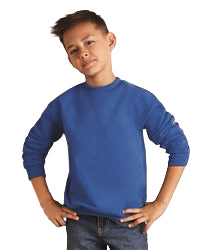 Gildan Heavy Blend Youth Sweatshirt