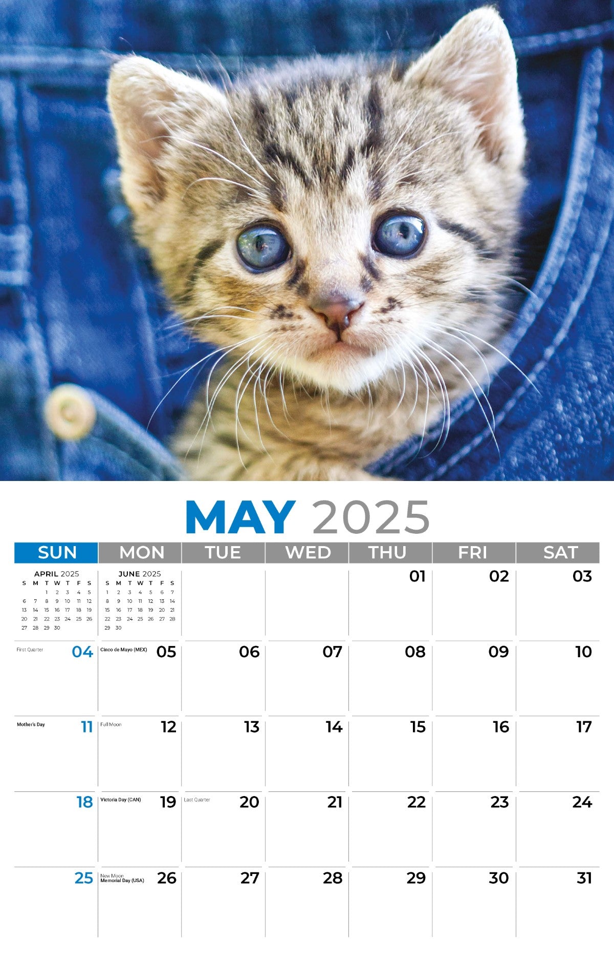 Galleria Wall Calendar 2025 Kittens Calendar