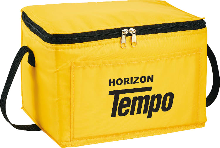 Spectrum Budget 6-Can Lunch Cooler