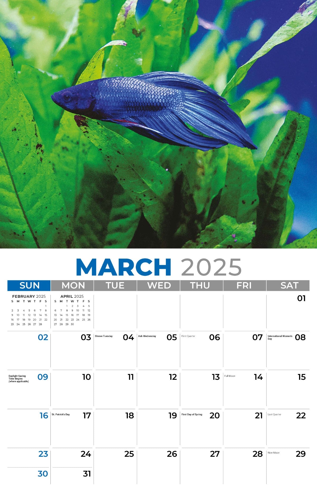 Galleria Wall Calendar 2025 Pets