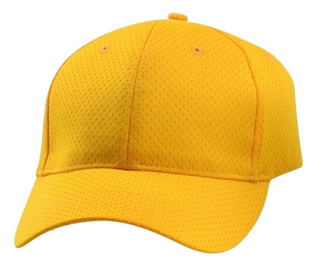 Sport Flex Athletic Mesh Cap