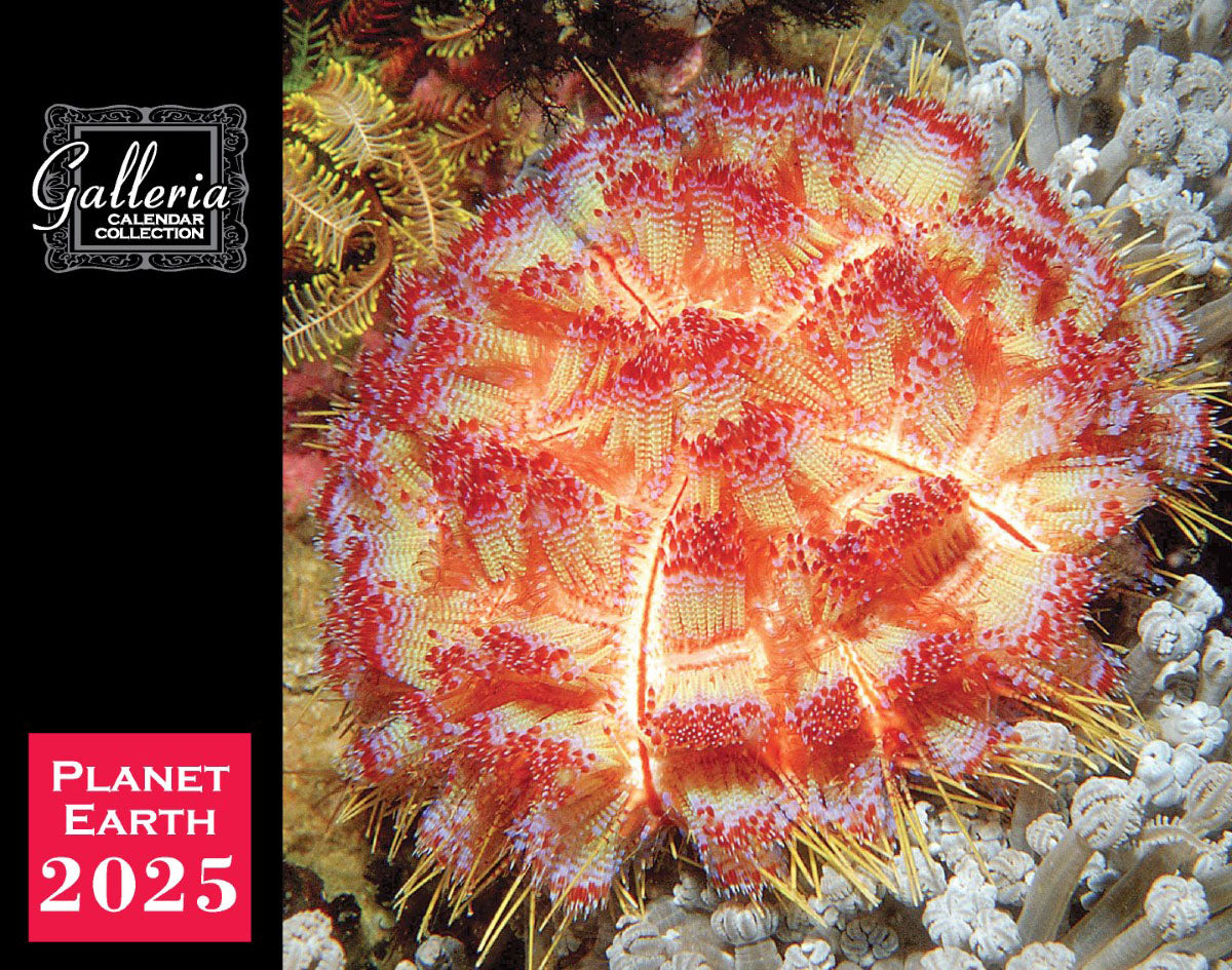 Galleria Wall Calendar 2025 Planet Earth Calendar