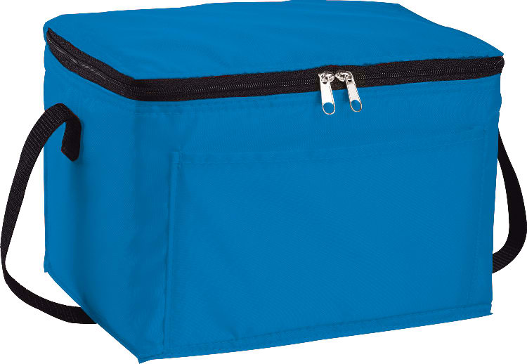 Spectrum Budget 6-Can Lunch Cooler