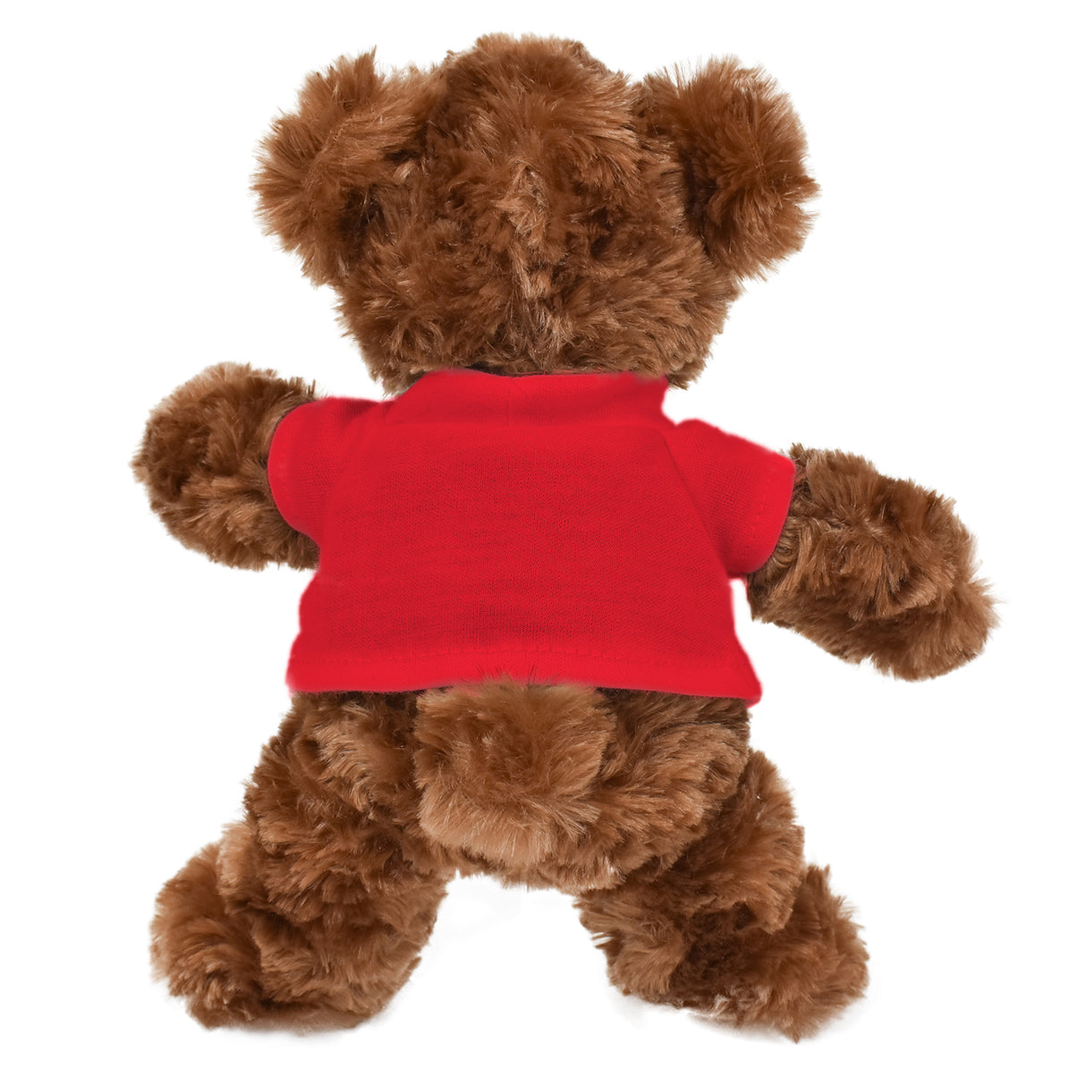 6.5" Junior Roary Bear w/T-Shirt