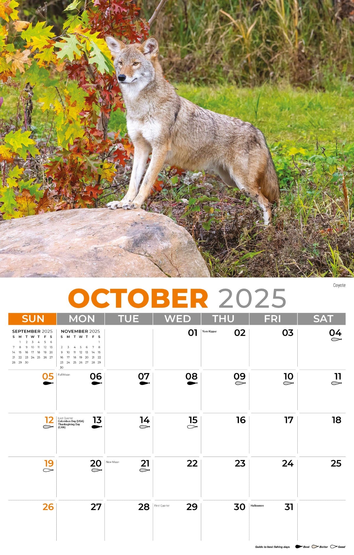 Galleria Wall Calendar 2025 North American Wildlife