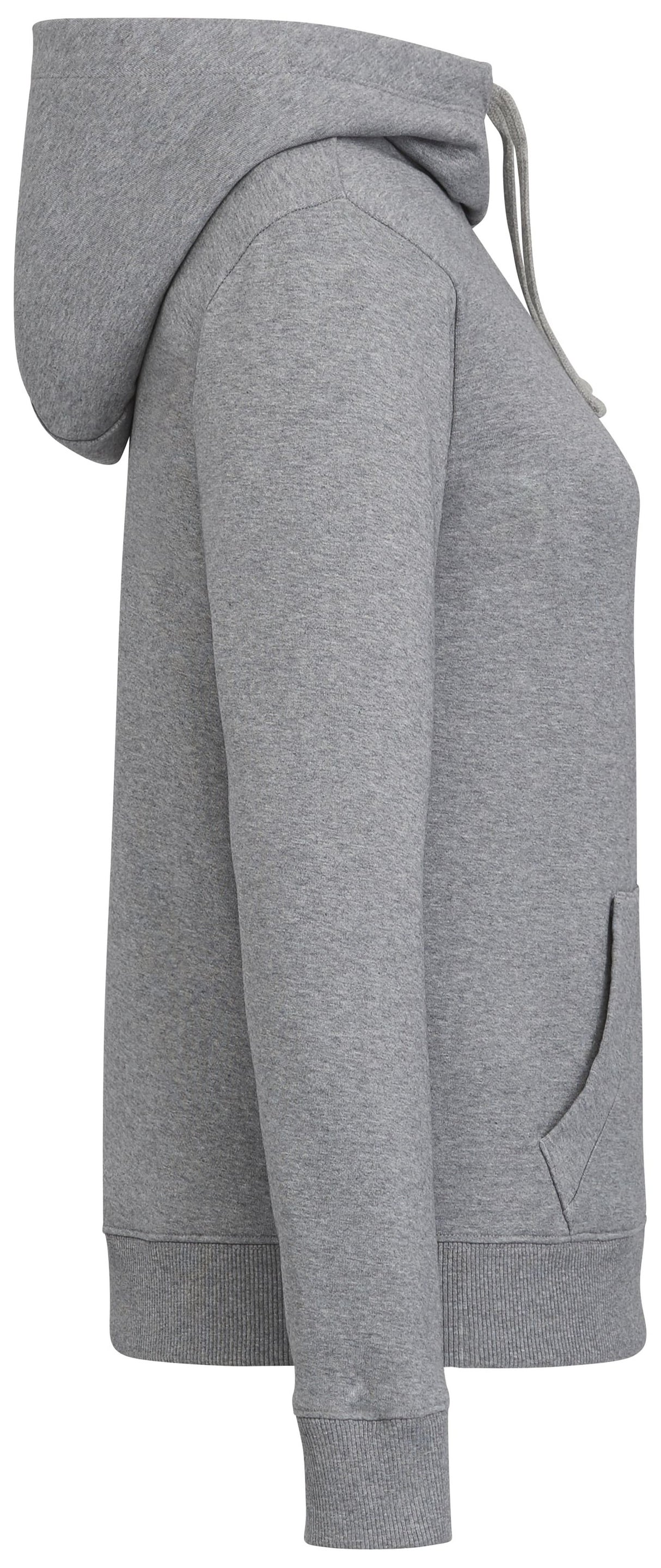 tentree Organic Cotton Banshee Hoodie - Women's