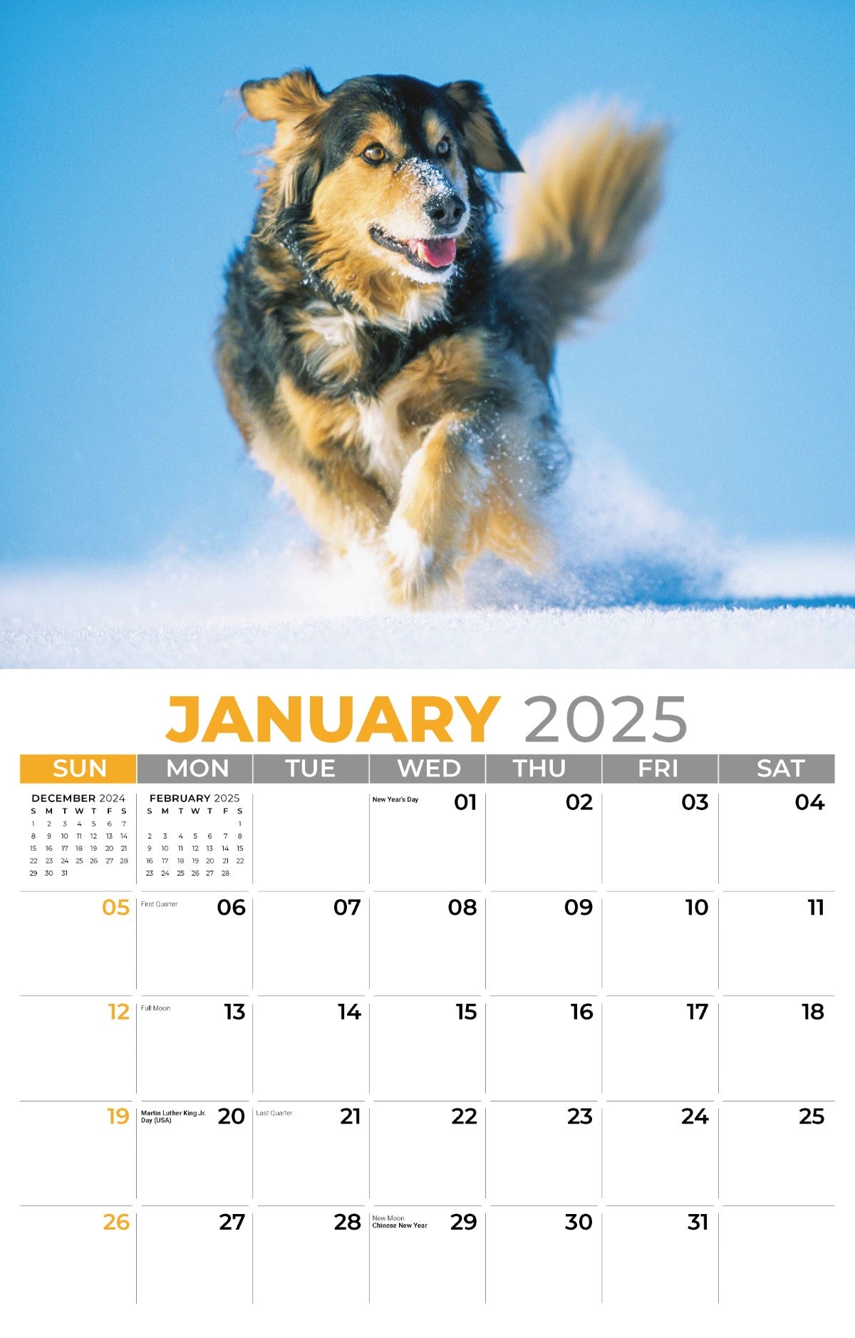 Galleria Wall Calendar 2025 Pets