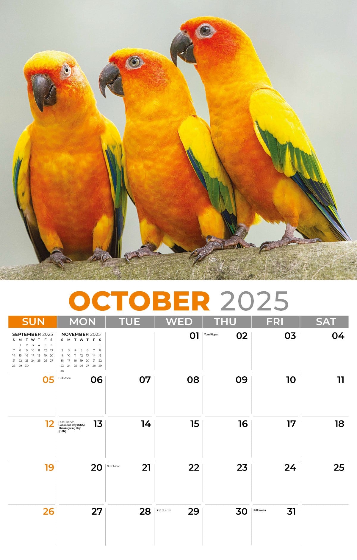 Galleria Wall Calendar 2025 Pets