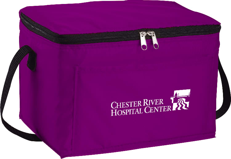 Spectrum Budget 6-Can Lunch Cooler