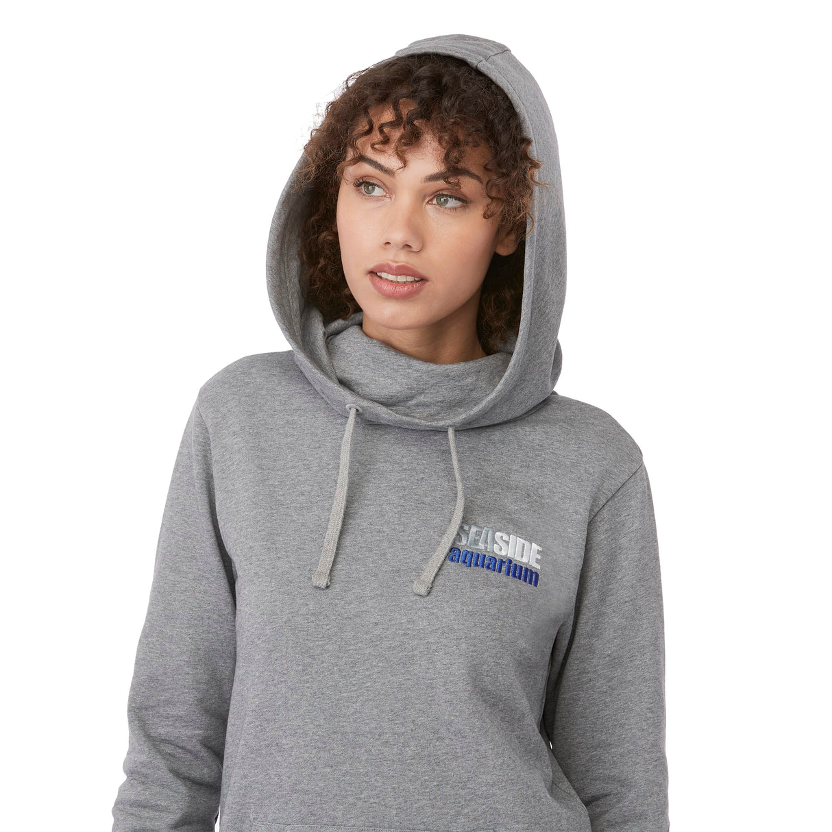 tentree Organic Cotton Banshee Hoodie - Women's