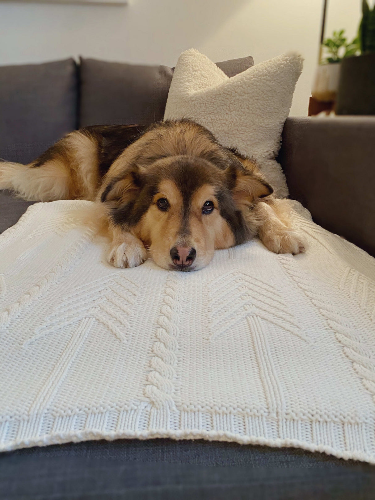 tentree Organic Cotton Cable Blanket